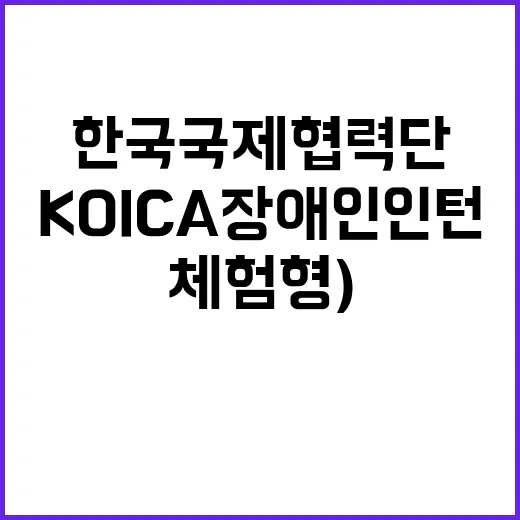 2024년 2차 KOICA 장애인 인턴(체험형) 채용 공고