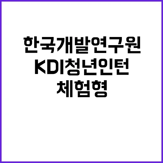 KDI 청년인턴 채용공고