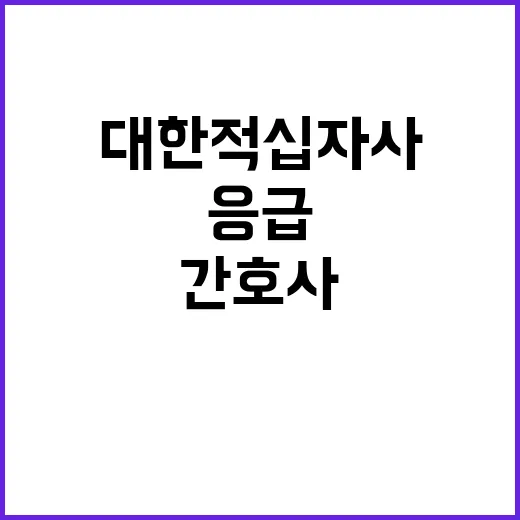 대한적십자사 제주특별자치도지사  육아휴직 대체인력 [간호사,응급구조사] 채용공고