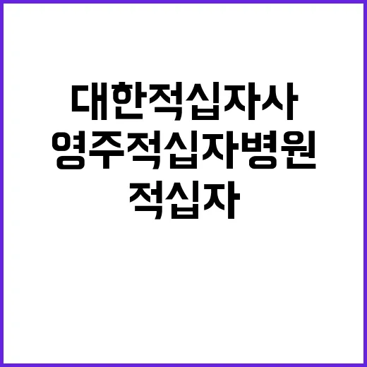 [영주적십자병원] 계약직[간호사,간호조무사,고령직 간호조무사,임상병리사,시설관리,취사원] 직원 공개채용 공고