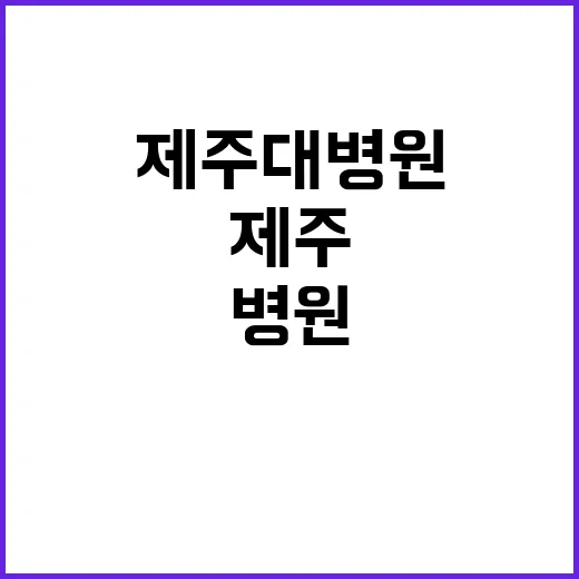 제주대학교병원 비정…