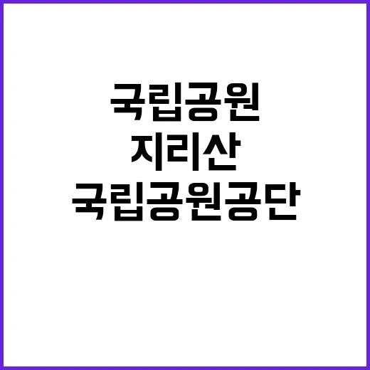 국립공원공단 비정규…