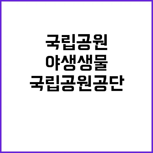 국립공원공단 무기계…