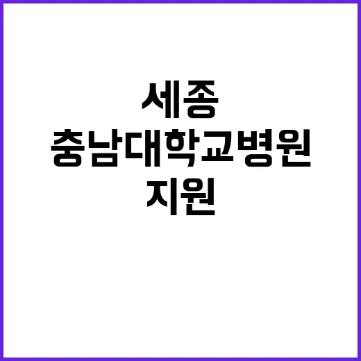 [세종] 2024년 9월 비정규직(계약직, 업무지원계약직, 보조금계약직) 직원 채용공고