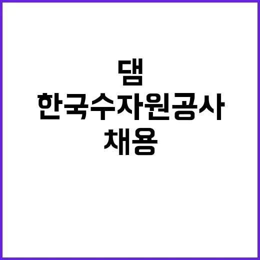 한국수자원공사 비정…