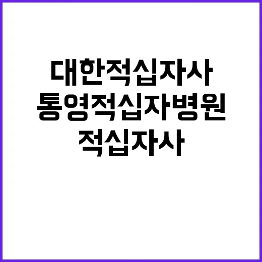 대한적십자사 비정규…