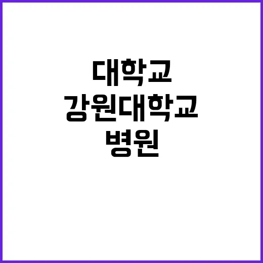 강원대학교병원 정규…