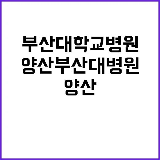 부산대학교병원 비정…