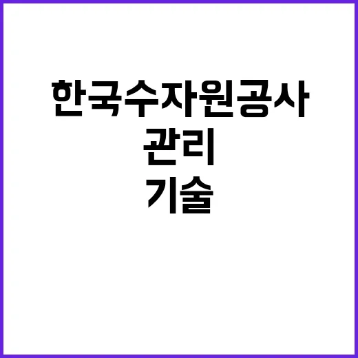 한국수자원공사 비정…