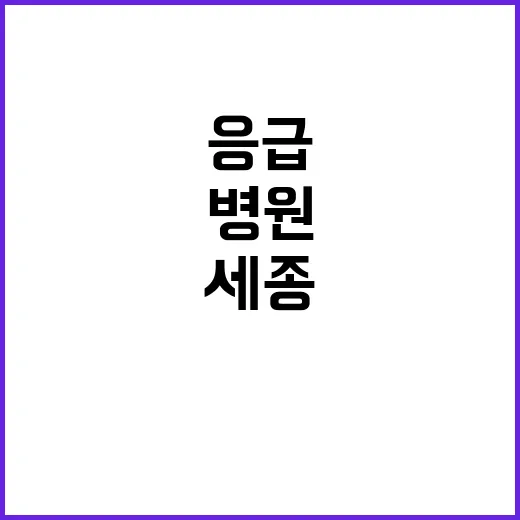 [세종] 2023년 계약직 전문의(응급의학과) 모집공고(상시)