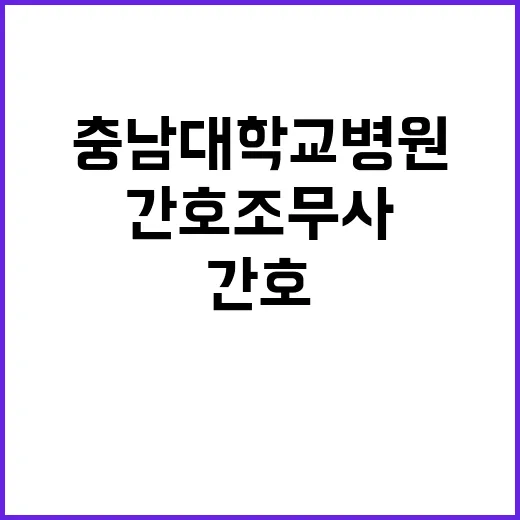 충남대학교병원 비정…