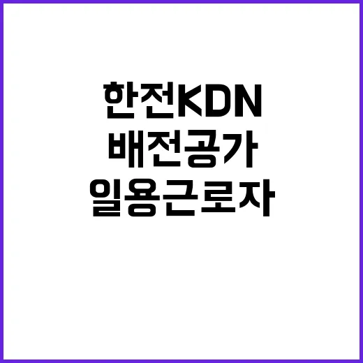 한전KDN 강원사업처 배전공가 시설내역조사 일용근로자 모집공고