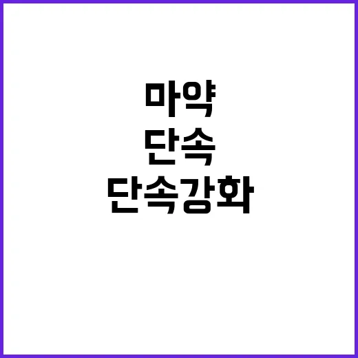 마약 단속 강화 항…