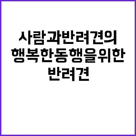 사람과 반려견의 행…