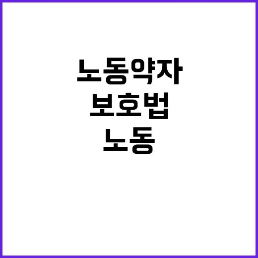 노동약자 보호법 특…