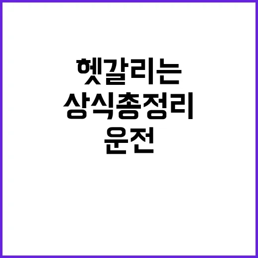 운전상식 총정리 뒤돌면 헷갈리는 이유와 해결책!