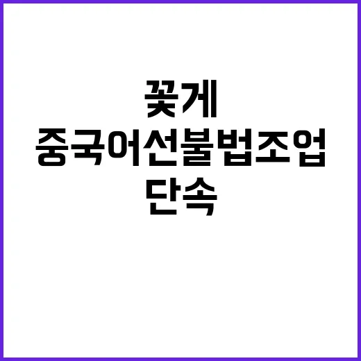 꽃게 수급 안정 중국어선 불법조업 집중 단속!