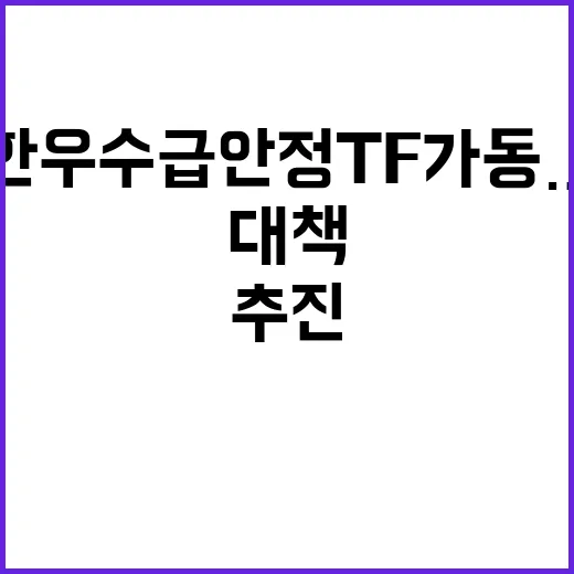 한우 수급 안정 TF 가동…대책 추진 상황 공개!