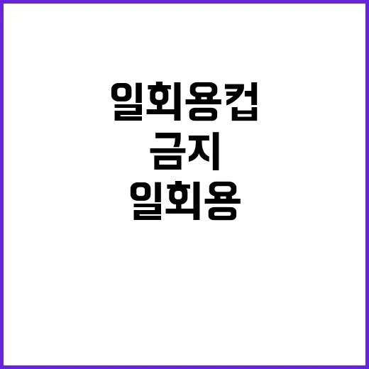 일회용컵 금지 사실…