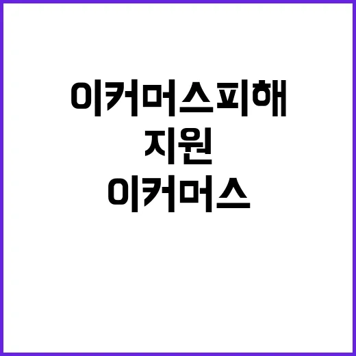 이커머스 피해업체 …