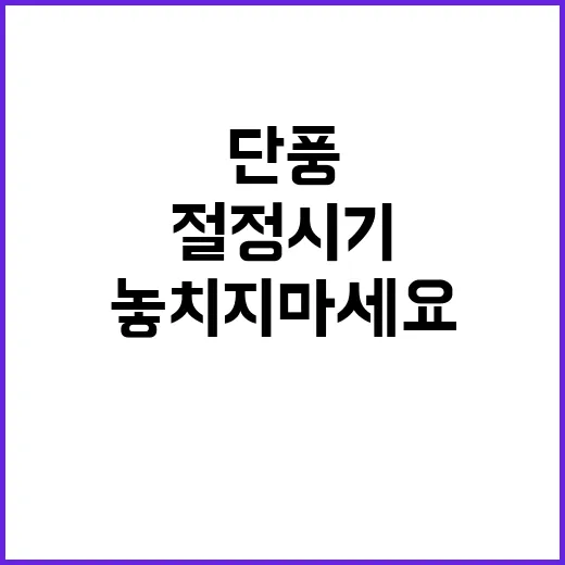 단풍 절정 시기 이…