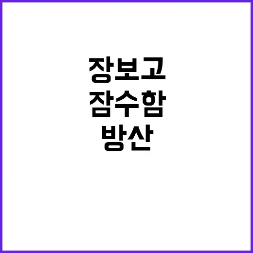 ‘장보고Ⅲ’ 잠수함…