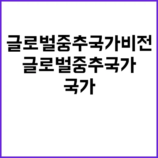 글로벌 중추국가 비…