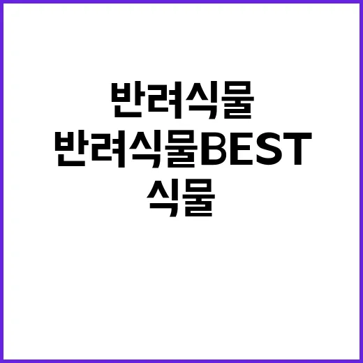 반려식물 BEST …