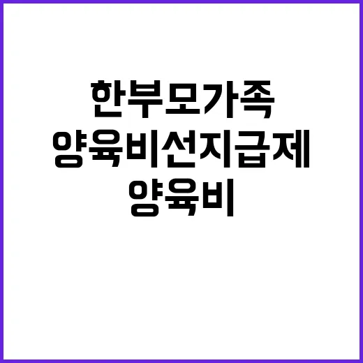 양육비 선지급제 한…