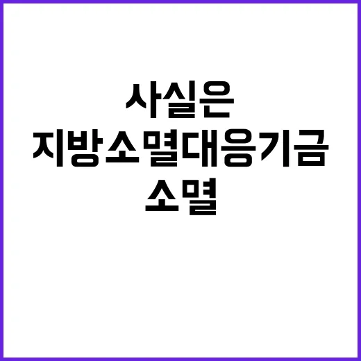 지방소멸대응기금 본…