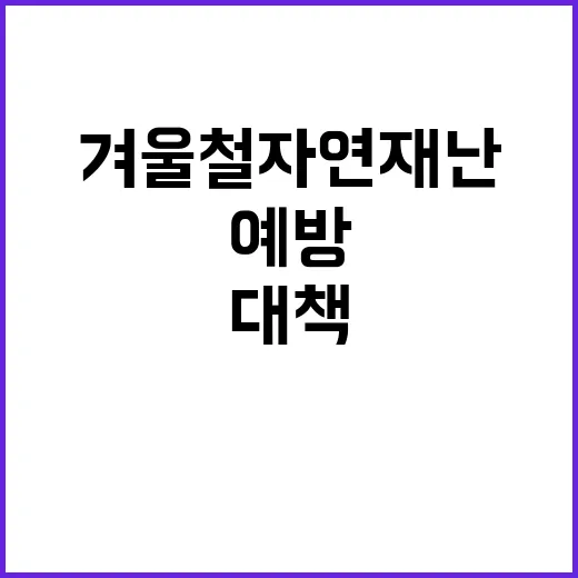 겨울철 자연재난 대책 눈과 얼음 피해 예방!