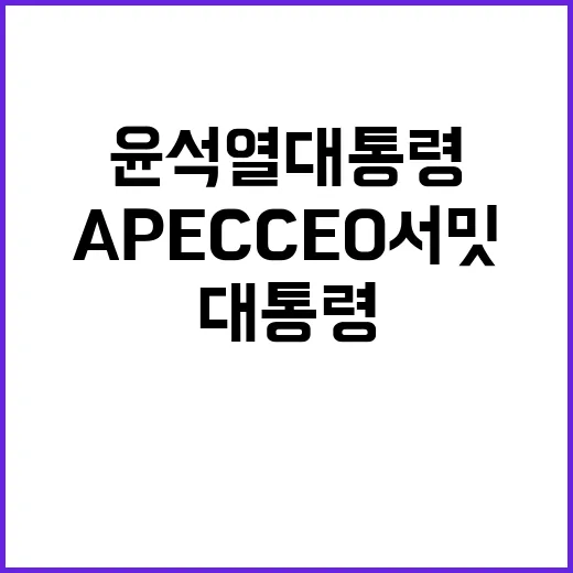 윤석열 대통령 AP…