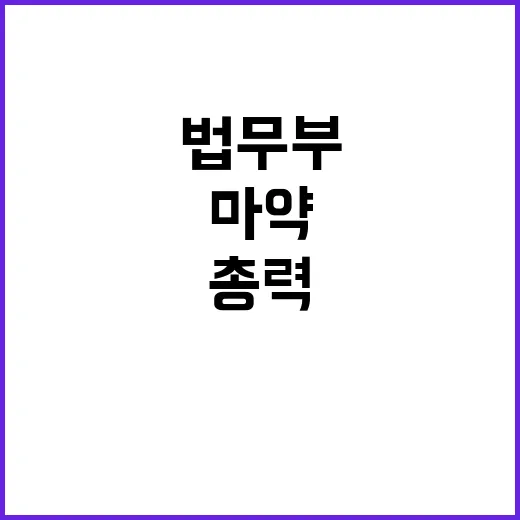 마약 법무부 총력 …