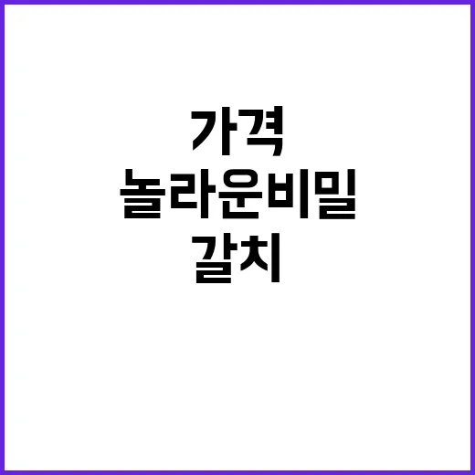 갈치 소비자가격 안정적 유지의 놀라운 비밀!