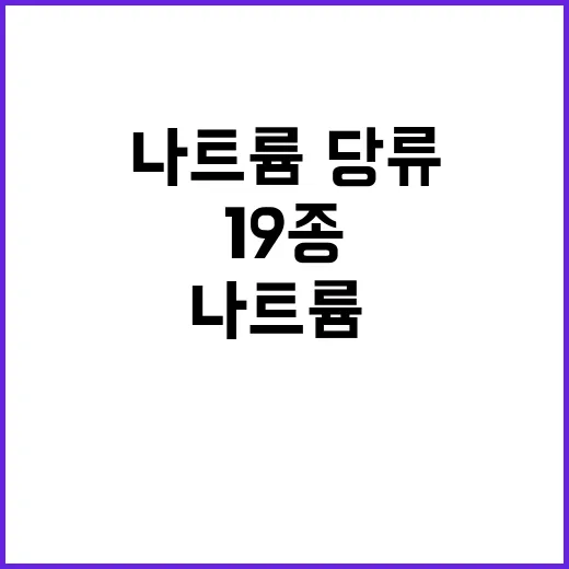 카스텔라 나트륨·당류 줄인 신상 19종 공개!