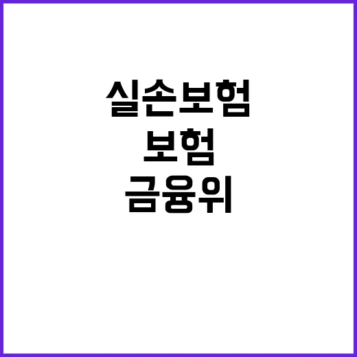 실손보험 개혁안 금…