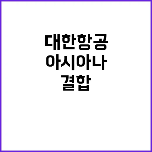 대한항공 결합 심사 아시아나 최종 결정 발표!