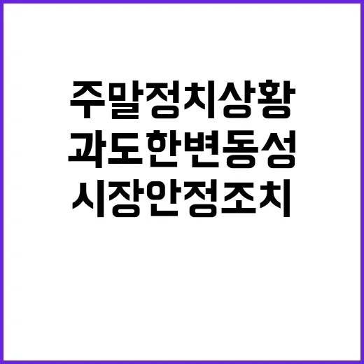 주말 정치상황 과도한 변동성 시장안정조치 예고!