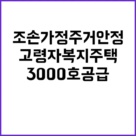 조손가정 주거안정 고령자복지주택 3000호 공급 계획!