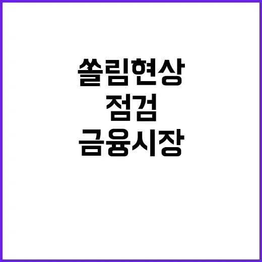 금융시장 점검 쏠림현상 예방 위한 긴급 대응!