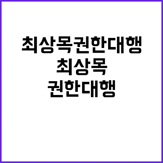 국가 안보 최상목 권한대행의 단호한 의지!