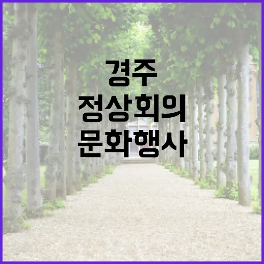 경주 정상회의 문화행사 지원으로 성공비결 공개!