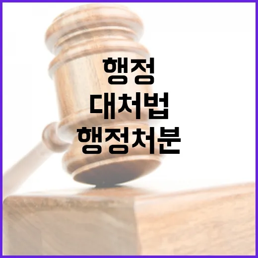 행정처분 ‘보완’ 기회 누락·오류 대처법 공개!