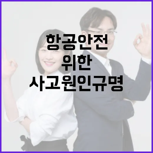 사고원인 규명 항공 안전 혁신 위한 책임!