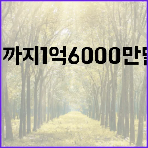 굴 2030년까지 1억 6000만 달러 수출 목표!