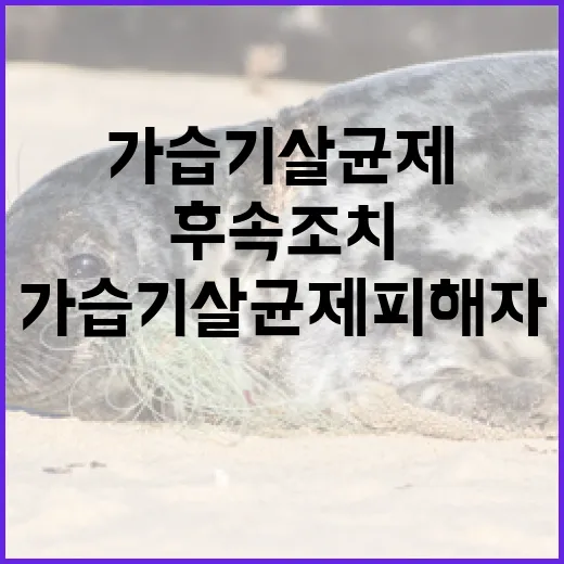 가습기살균제 피해자에 대한 후속조치 밝혀졌다!