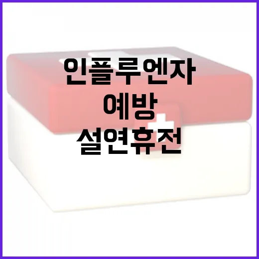 인플루엔자 예방 설 연휴 전에 꼭 확인하세요!