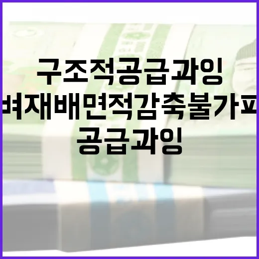 구조적 공급과잉 벼 재배면적 감축 불가피!