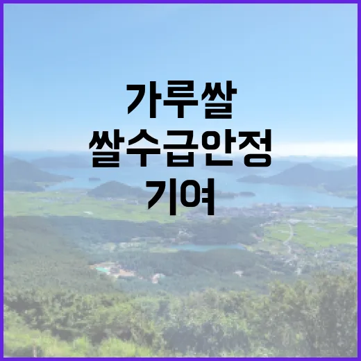 가루쌀 쌀 수급안정 기여 사실 확인해보세요!