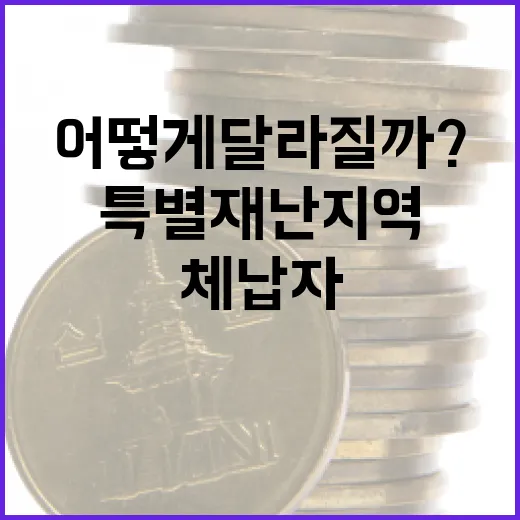 특별재난지역 체납자 출국 관리 어떻게 달라질까?